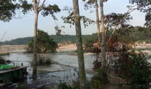 WhatsApp Image 2025-07-28 at 03.38.15